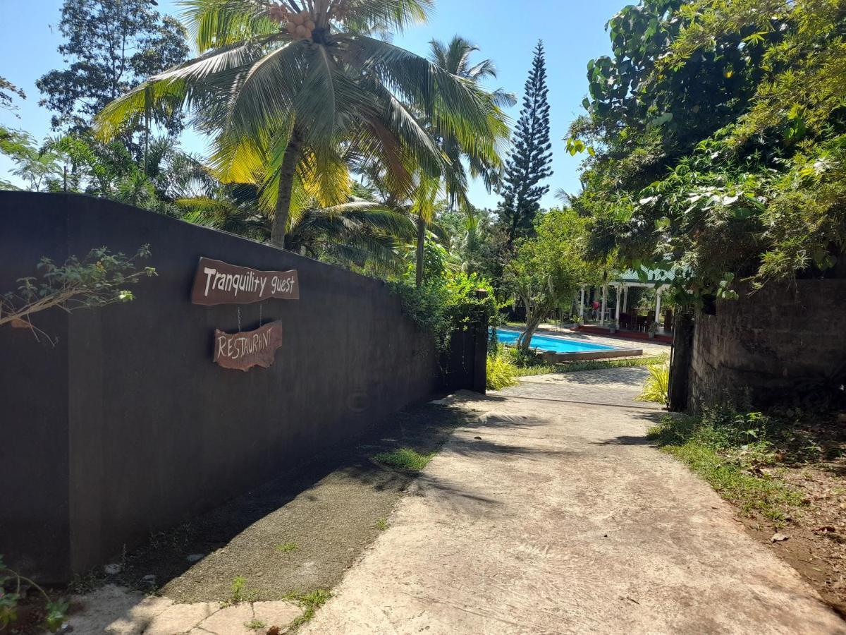 Tranquility Guest House Hikkaduwa Buitenkant foto