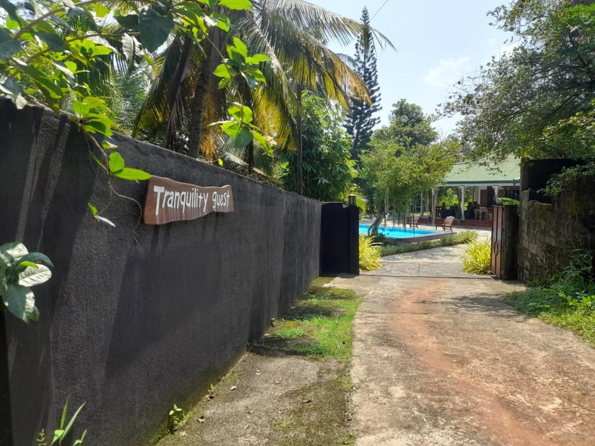Tranquility Guest House Hikkaduwa Buitenkant foto