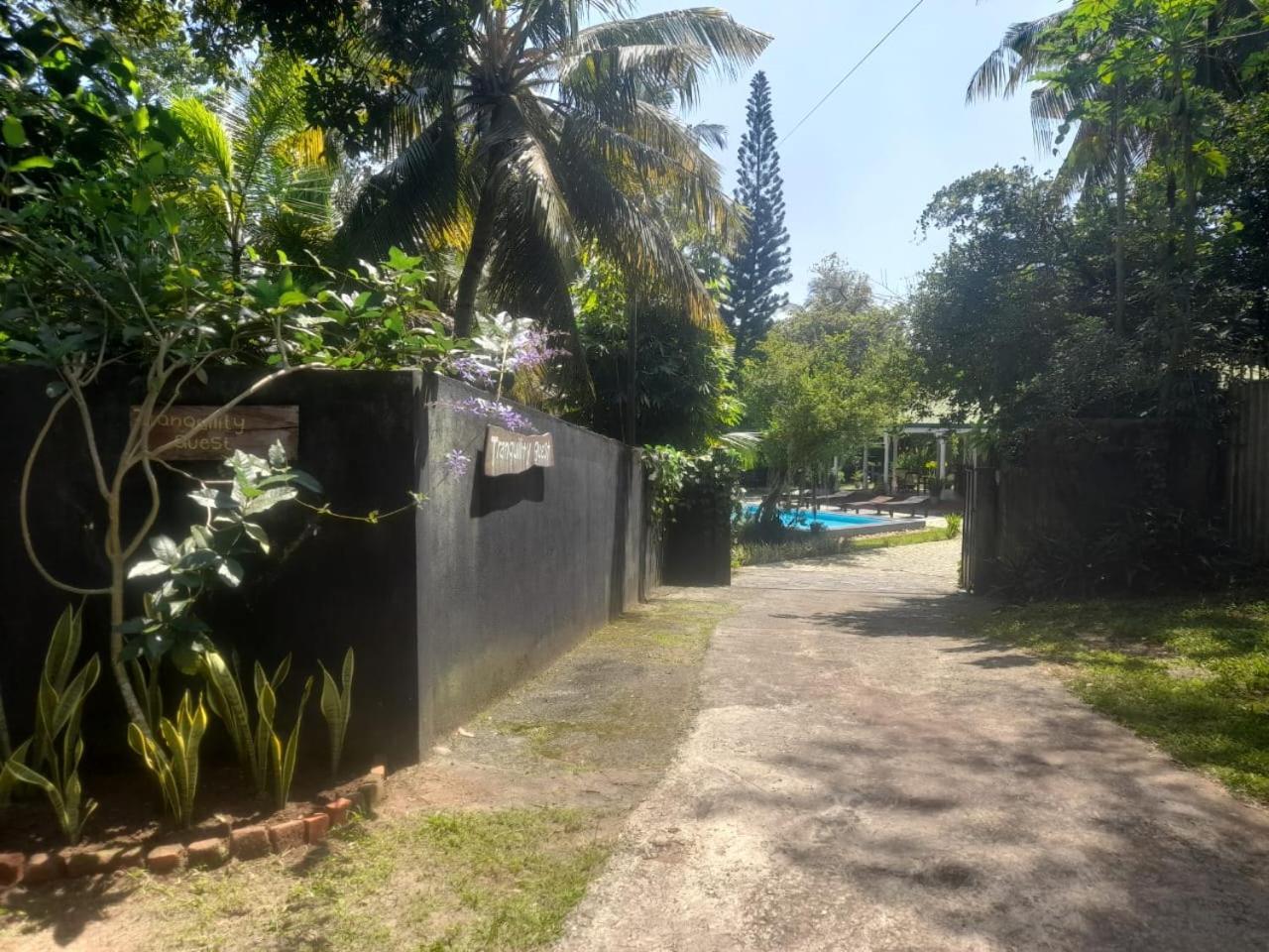Tranquility Guest House Hikkaduwa Buitenkant foto