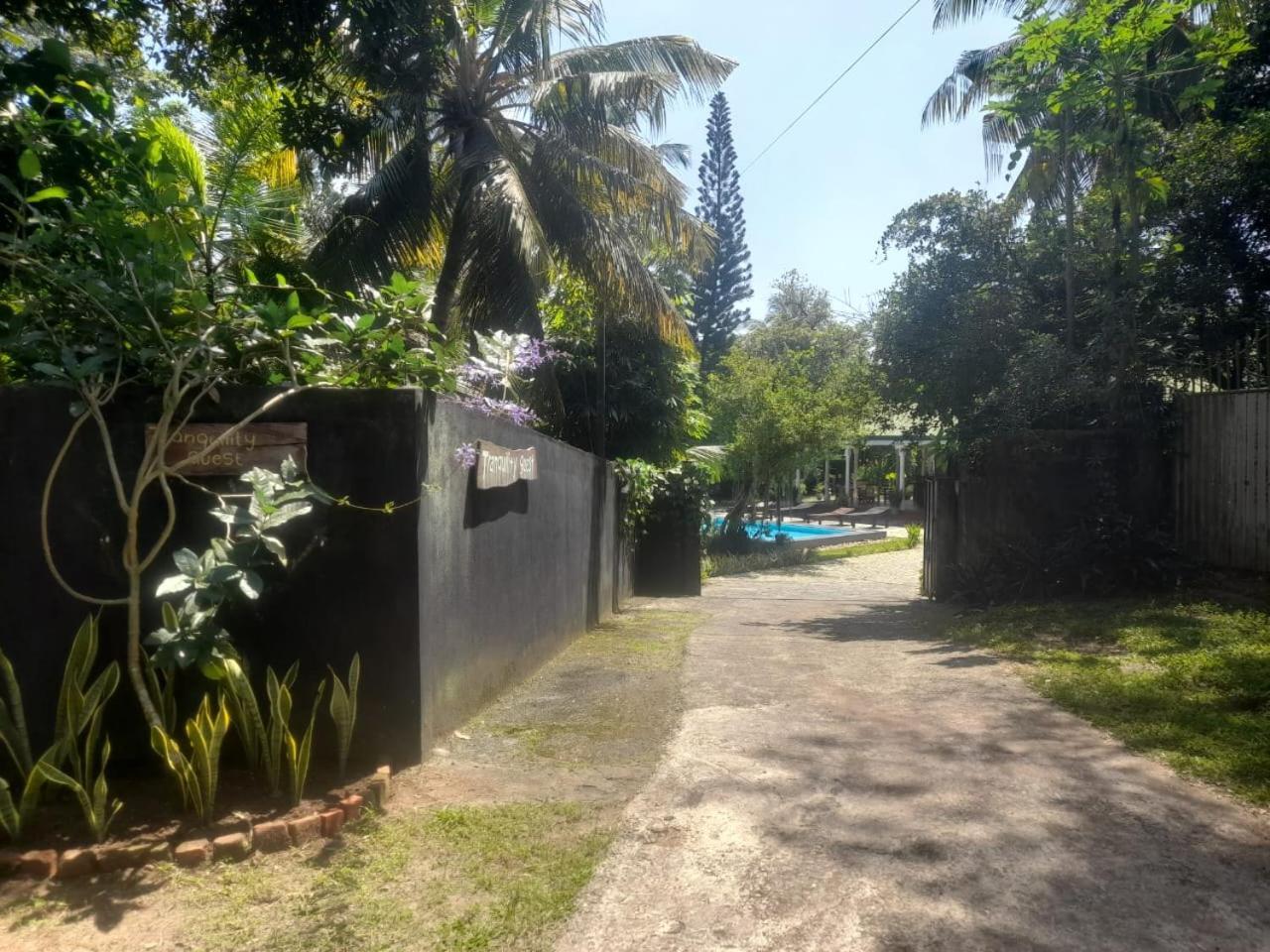 Tranquility Guest House Hikkaduwa Buitenkant foto
